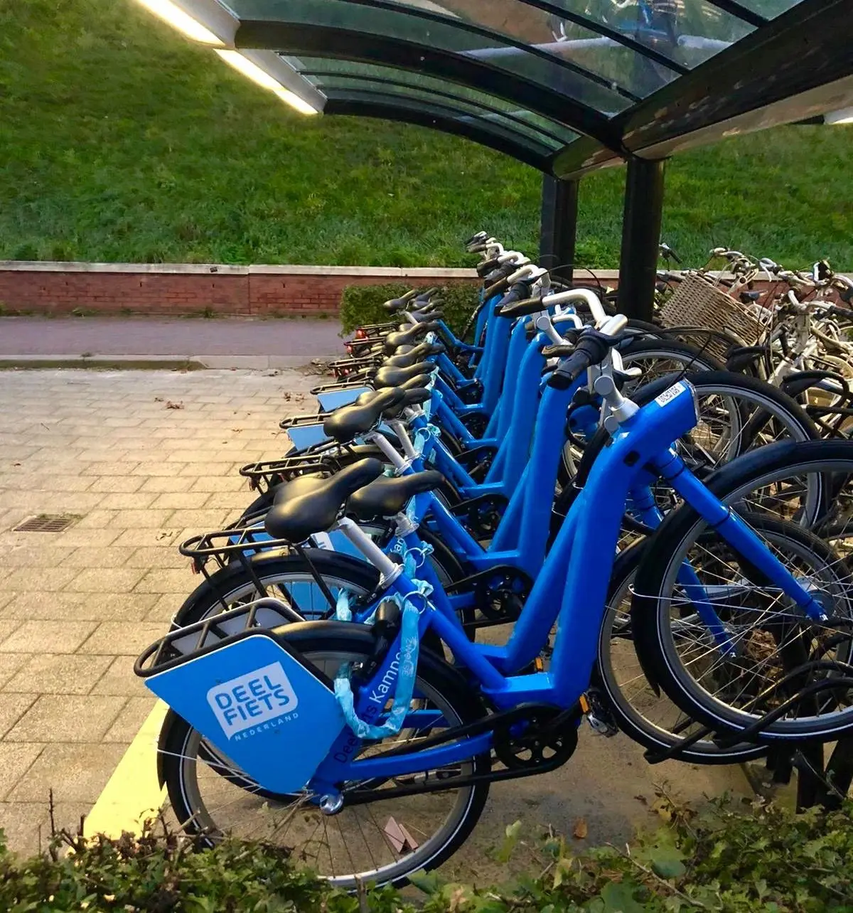 Een droppoint van Deelfiets Nederland met fietsen, te vinden bij Station Kampen Zuid